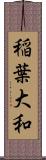 稲葉大和 Scroll