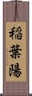 稲葉陽 Scroll