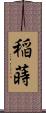 稲蒔 Scroll