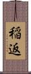 稲返 Scroll