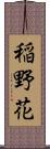 稲野花 Scroll