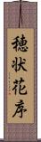 穂状花序 Scroll