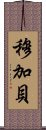 穆加貝 Scroll