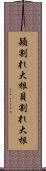 穎割れ大根 Scroll