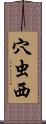 穴虫西 Scroll
