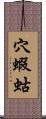 穴蝦蛄 Scroll