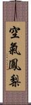 空氣鳳梨 Scroll