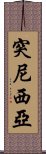 突尼西亞 Scroll