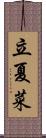 立夏菜 Scroll