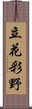 立花彩野 Scroll