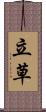 立草 Scroll