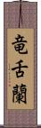 竜舌蘭 Scroll