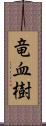 竜血樹 Scroll