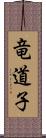 竜道子 Scroll