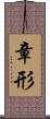 章形 Scroll