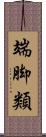 端脚類 Scroll