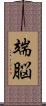 端脳 Scroll