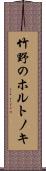 竹野のホルトノキ Scroll