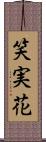 笑実花 Scroll
