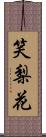 笑梨花 Scroll