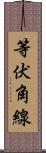 等伏角線 Scroll