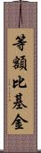 等額比基金 Scroll