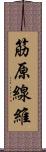 筋原線維 Scroll