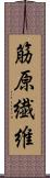 筋原繊維 Scroll