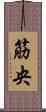 筋央 Scroll