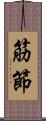 筋節 Scroll