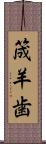 筬羊歯 Scroll