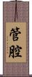 管腔 Scroll