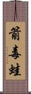 箭毒蛙 Scroll