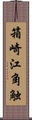 箱崎江角触 Scroll