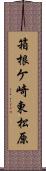 箱根ケ崎東松原 Scroll