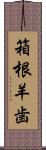 箱根羊歯 Scroll