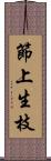 節上生枝 Scroll