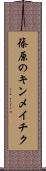 篠原のキンメイチク Scroll