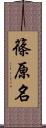 篠原名 Scroll