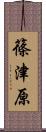 篠津原 Scroll