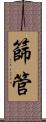 篩管 Scroll
