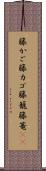 籐かご Scroll