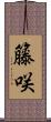 籐咲 Scroll