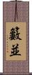 籔並 Scroll