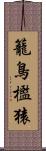 籠鳥檻猿 Scroll