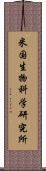 米国生物科学研究所 Scroll