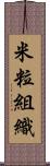 米粒組織 Scroll