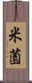 米薗 Scroll