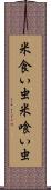 米食い虫 Scroll