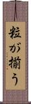 粒が揃う Scroll